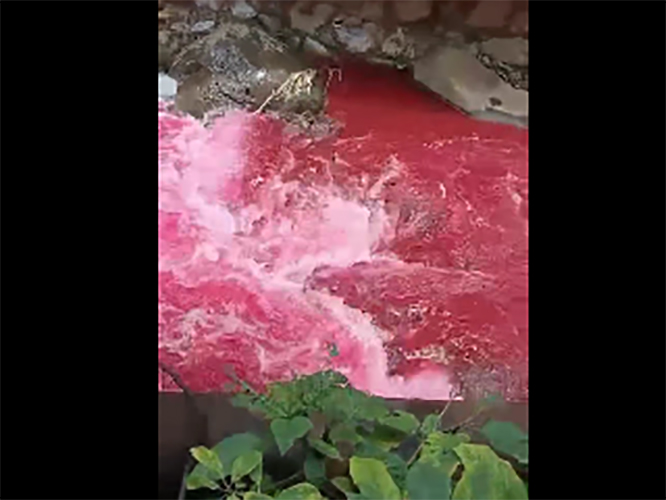 VIDEO Se tiñe de rojo sangre río de Huauchinango