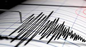 Sismo de 7.3 grados sacude Nueva Zelandia; alertan posible tsunami