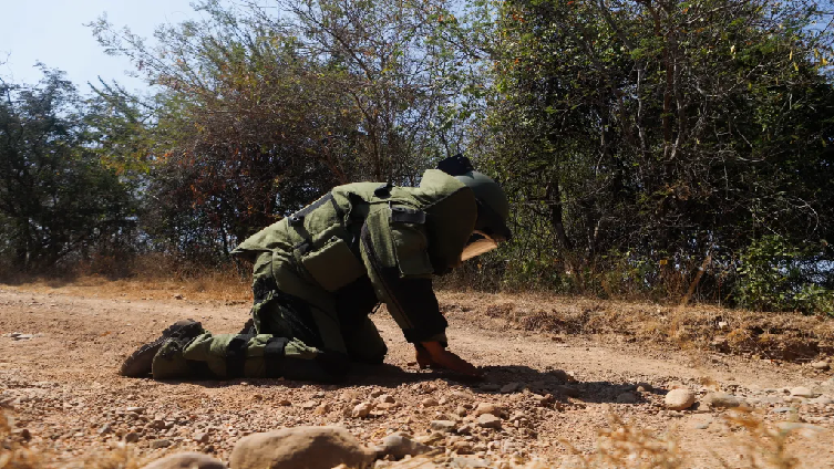 Ejército mexicano ha desactivado 250 minas en  Michoacán