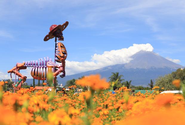 VIDEO Miles de visitantes arriban al Valle de Catrinas en Atlixco, Puebla