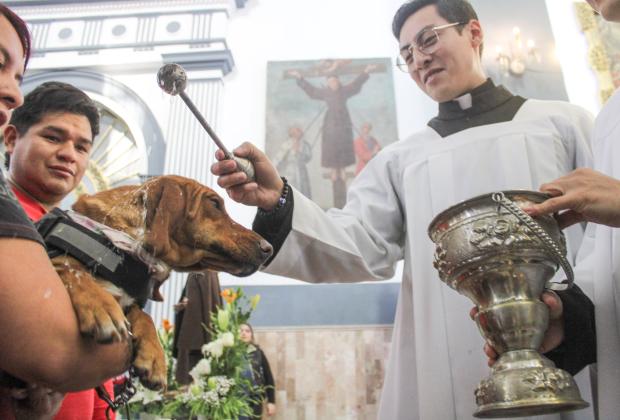 VIDEO Bendicen a mascotas en iglesias de la ciudad de Puebla