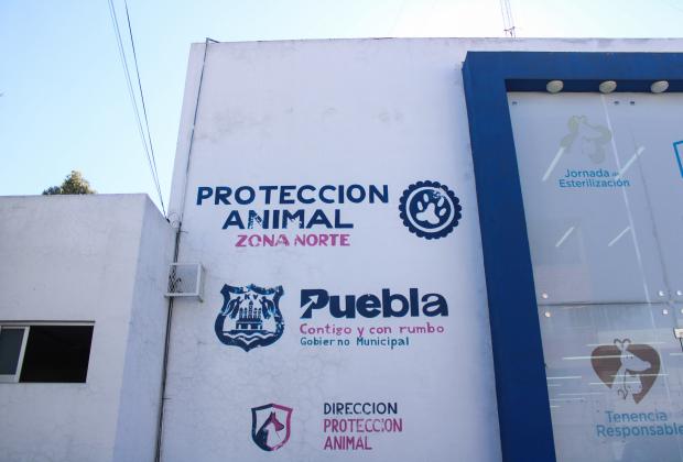 Remodelarán Centro de Control y Protección Animal Zona Norte