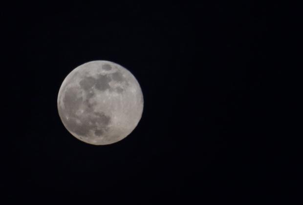 VIDEO Hay tiempo, disfruta de la Superluna de Castor