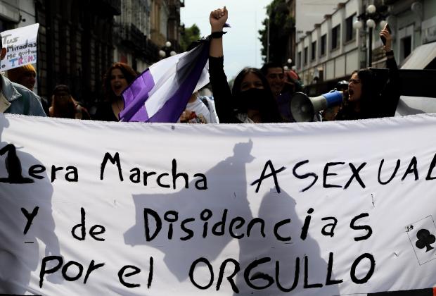 VIDEO Primera Marcha Asexual y de Disidencias en Puebla