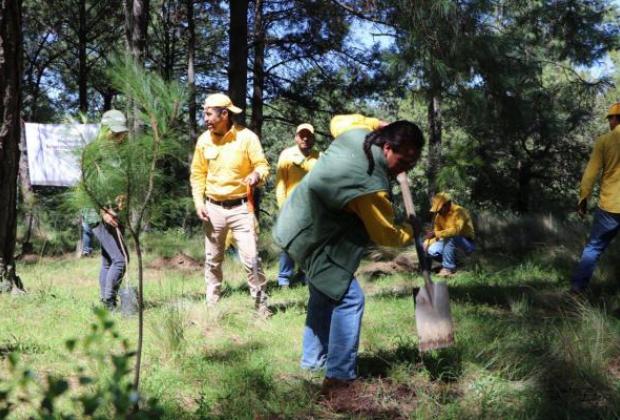 Puebla, entre los estados que más destinan recursos en protección ambiental