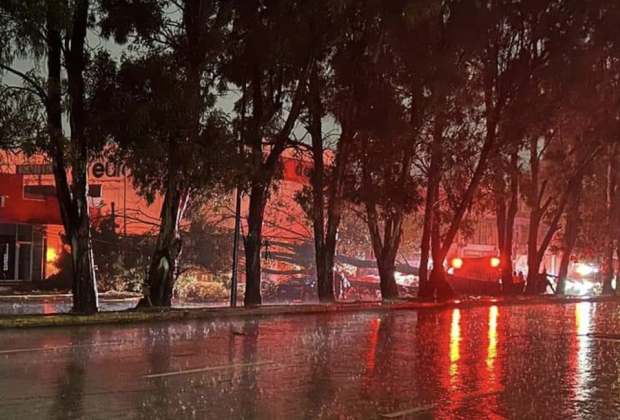 Fuertes lluvias en Puebla: muere adulto mayor tras ser aplastado por un árbol 