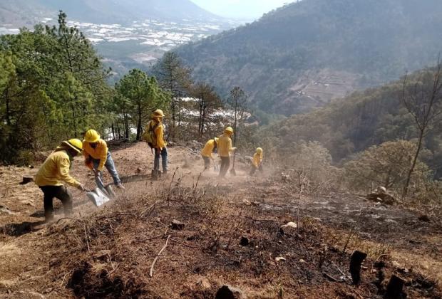 Liquidan al 100% incendio forestal en Aquixtla; dañó 85 hectáreas