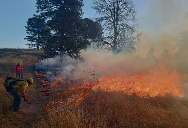 Reporta Puebla seis incendios forestales activos este jueves