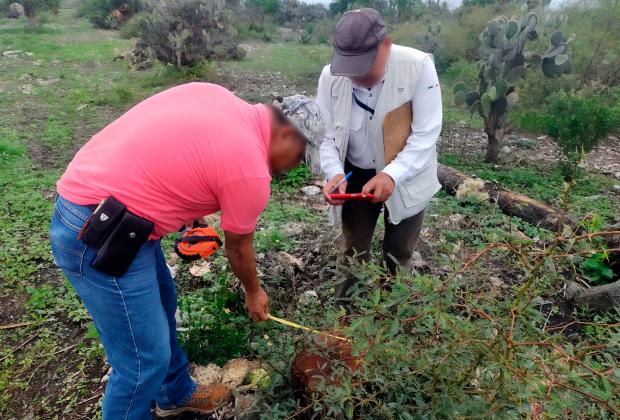 Sentencian a dos por daños a la Reserva de la Biosfera Tehuacán-Cuicatlán