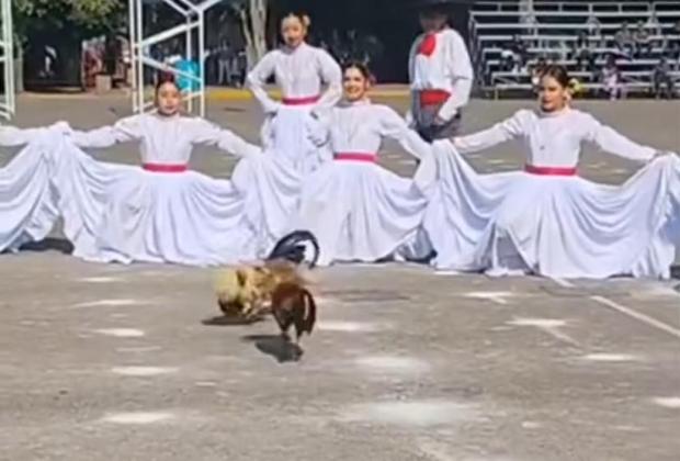 Desmiente SEP pelea de gallos durante festival del Día de las Madres del CENHCH