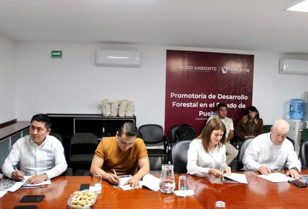 Firma Gobierno de la Ciudad y CONAFOR convenio de colaboración