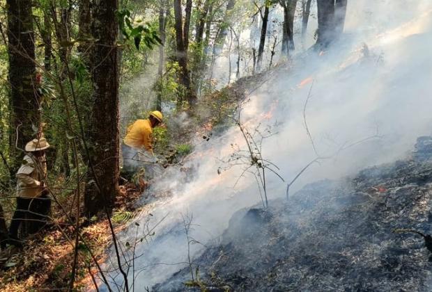 Figura Puebla en primeros 10 sitios en incendios forestales este 2024