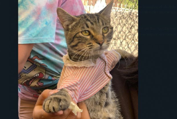 Atiende Chedraui a mascotas en Guadalupe Xonacatepec y Romero Vargas