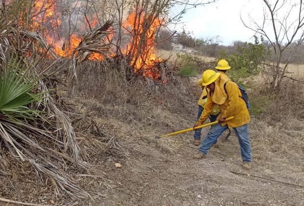 Incendios forestales en Ahuatempan y Tepexi, controlados al 90%