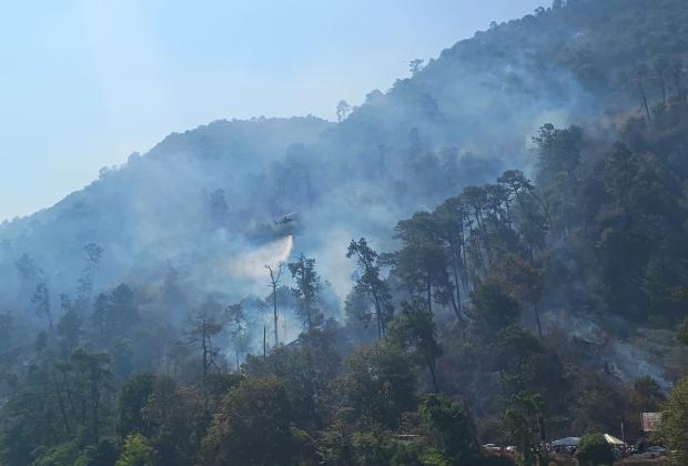 El 90% de los incendios forestales en Puebla son provocados: Céspedes