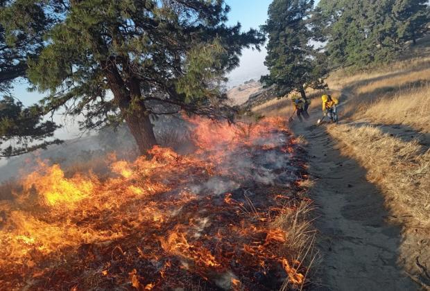 Puebla cerró primer semestre entre 10 estados con más incendios forestales