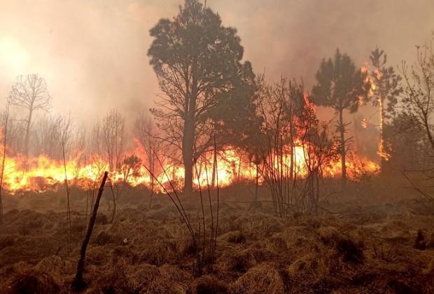 Suma Puebla 246 incendios forestales solo este año: Medio Ambiente