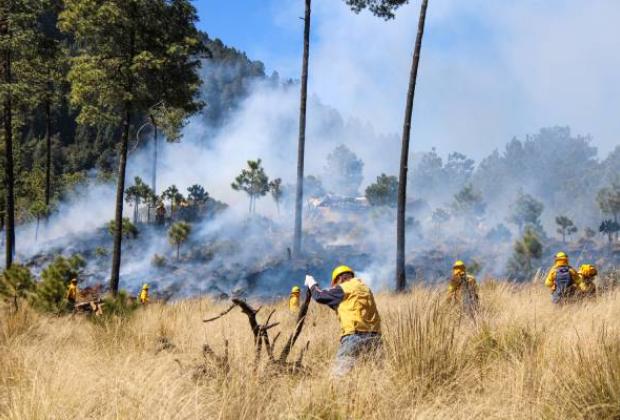 Controlan 90 por ciento de incendios en Tetela de Ocampo y Aquixtla