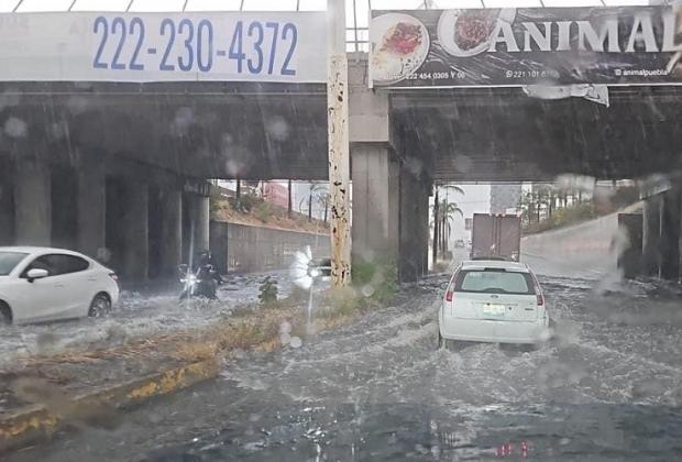 Deja lluvia inundaciones en Lomas de Angelópolis y caída de árboles