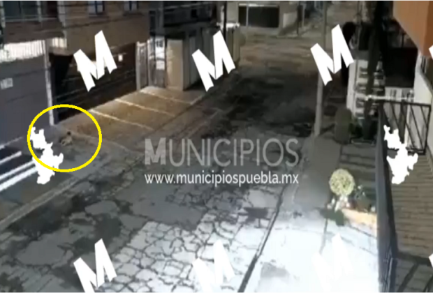 Va Fiscalía contra tutores de niño que cayó de segundo piso en La Paz