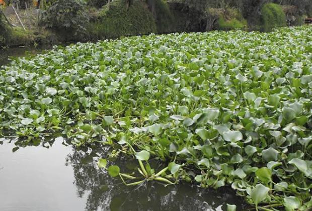 Primera etapa de FertiPue estará lista en noviembre