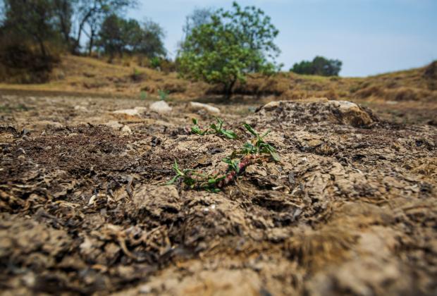 En Puebla, 71 municipios presentan sequía