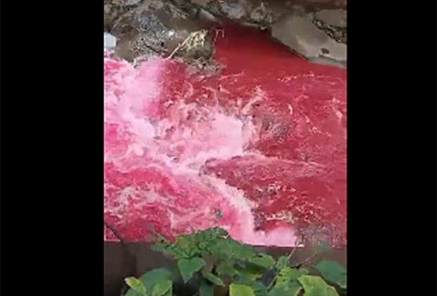 VIDEO Se tiñe de rojo sangre río de Huauchinango
