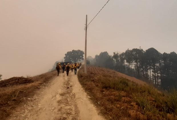 Puebla registra 274 incendios forestales en este 2024: Medio Ambiente