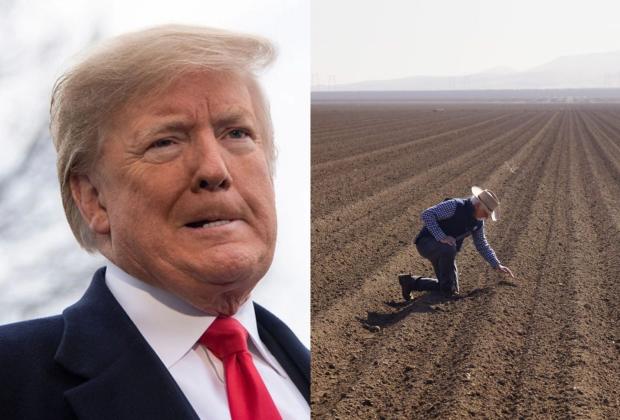 Por caída del sector agrario en EU, Trump plantea regreso de migrantes 