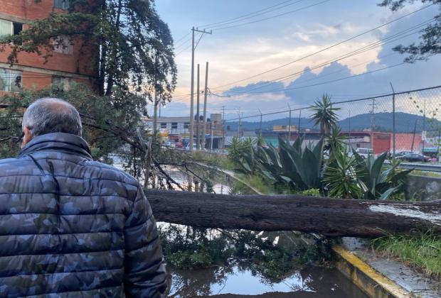 Lluvias provocan caída de un árbol y encharcamientos en el norte Puebla