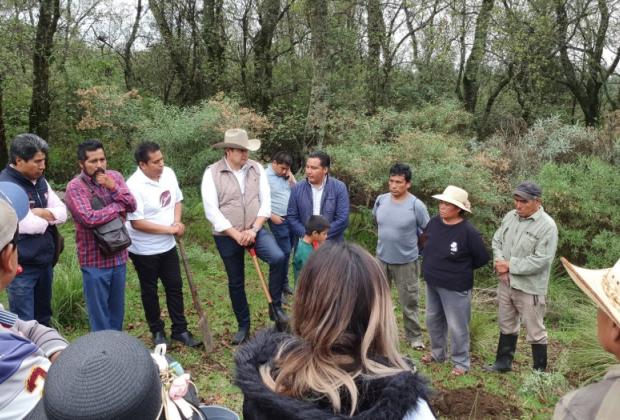 Armenta impulsa industrialización del Cáñamo para el crecimiento sostenible