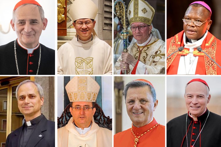 Los perfilan para suceder al Papa Francisco