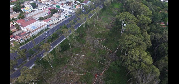 Puebla tendrá un nuevo parque entre Puebla y Cuautlancingo