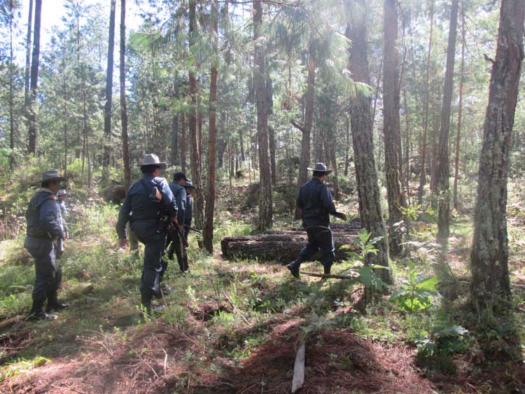 Involucran a edil de Ahuazotepec con banda de talamontes