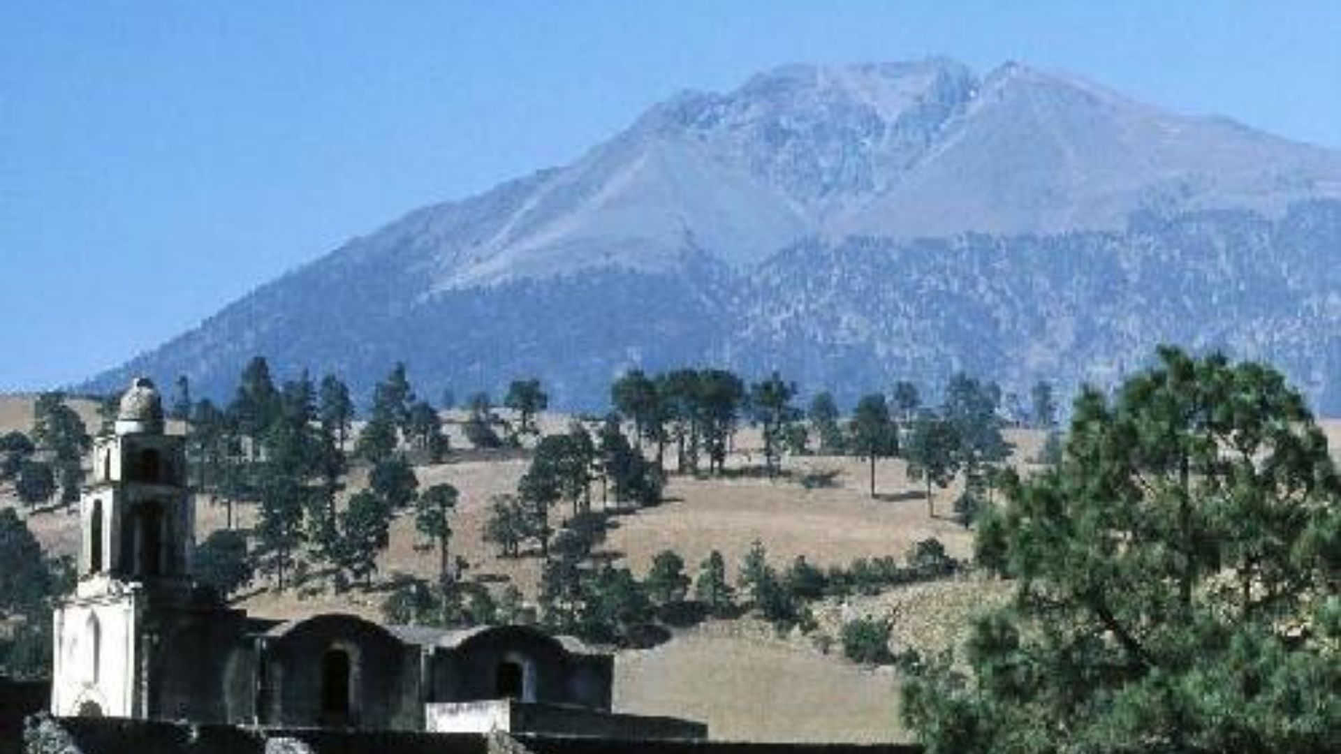 En Zoquitlán, sólo dos taladores tienen permiso del gobierno local 