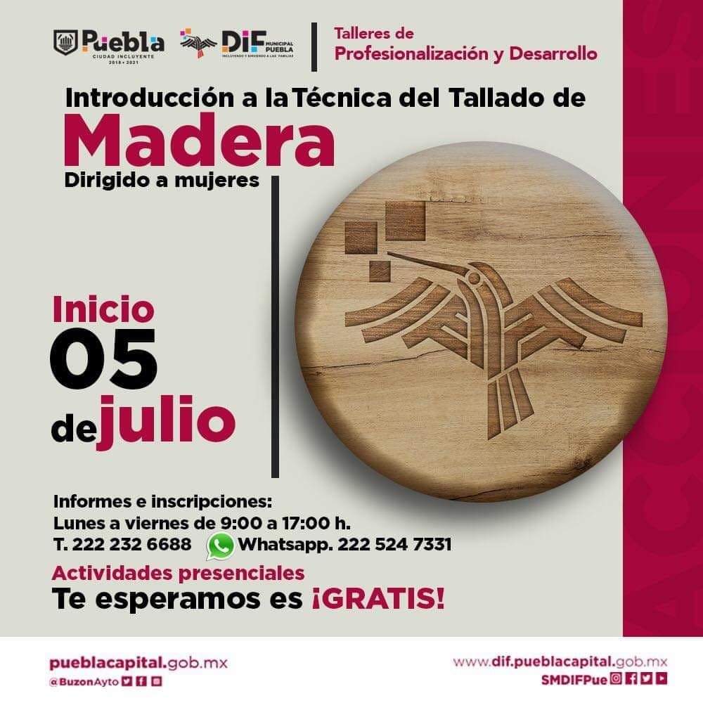 Invita SMDIF a taller de tallado en madera para mujeres