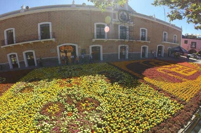 Invertirá Atlixco 1.8 mdp en tapetes florales monumentales durante 2017