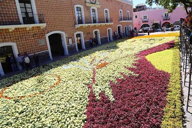 Atlixco utilizará 40 mil macetas y 100 mil flores para tapete monumental