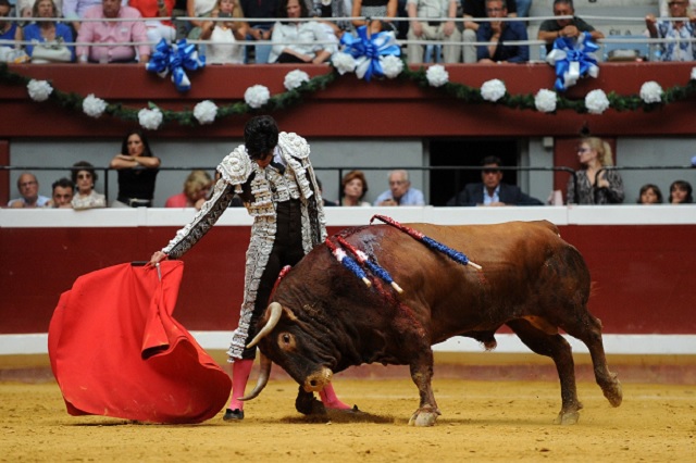 Propone PAN prohibir corridas de toros y peleas de gallos en Puebla