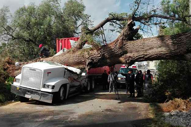 Viento tira techos, árboles y deja heridos en el estado de Puebla