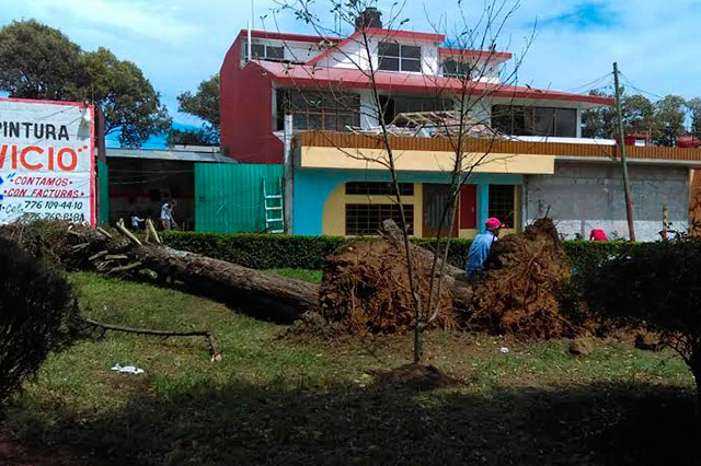 Viento tira techos, árboles y deja heridos en el estado de Puebla