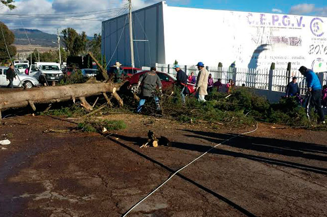 Viento tira techos, árboles y deja heridos en el estado de Puebla