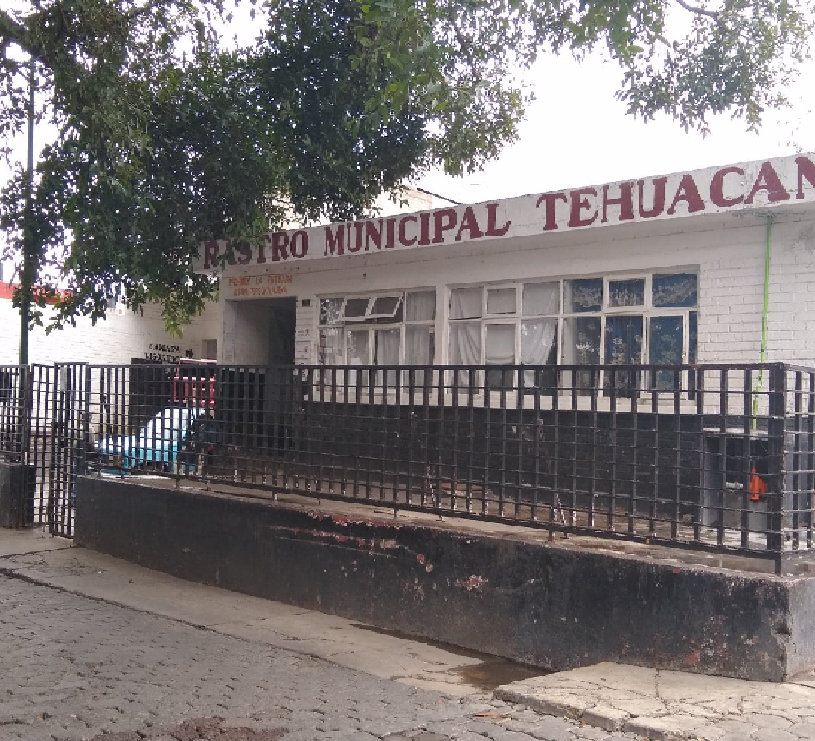    Intensifican inspección en rastro municipal de Tehuacán tras detectar  tuberculosis  