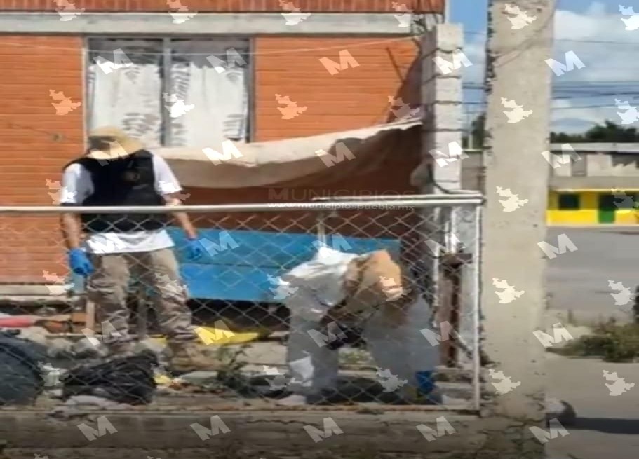 Efectúan primer cateo en Tehuacán por crueldad animal