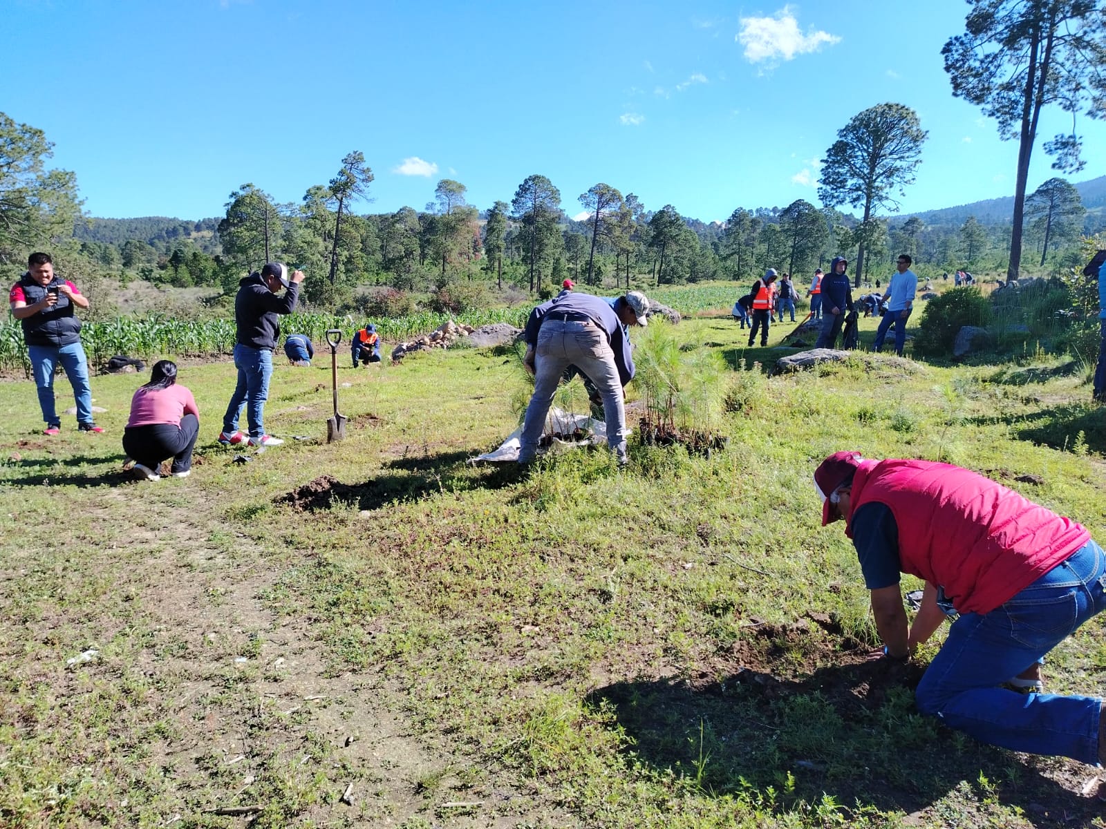 Granjas Carroll de México reforesta con más de 15 mil árboles el ejido Tenextepec