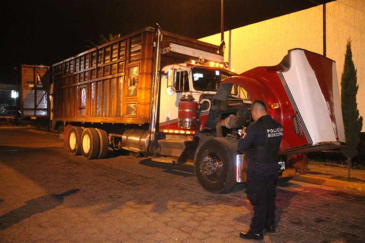 Detienen en Tehuacán a sujeto que trasladaba plantas endémicas