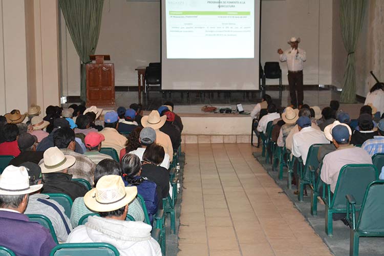 Incluyen a Tepeaca como prioritario en Cruzada Nacional contra el Hambre