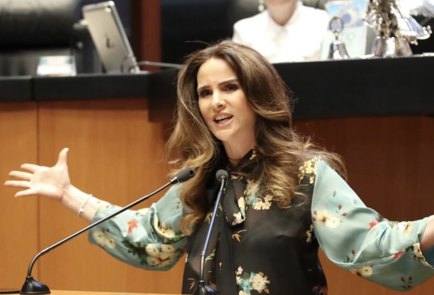 TEPJF: inexistente, violencia política de género de García Casas contra Nancy de la Sierra
