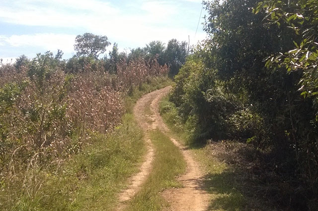 Utilizan terreno abierto como tiradero del rastro de Huauchinango