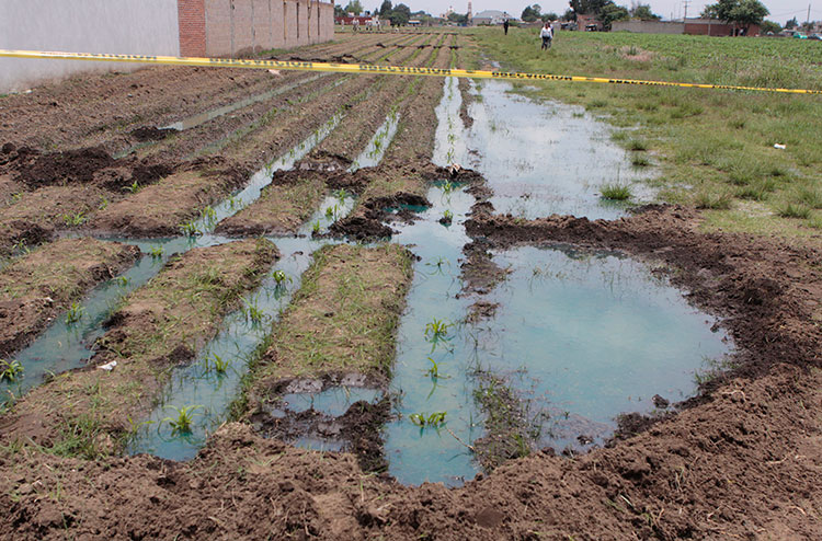 Terrenos de Mihuacan son afectados por derrame de combustible